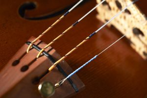 il cannone strings