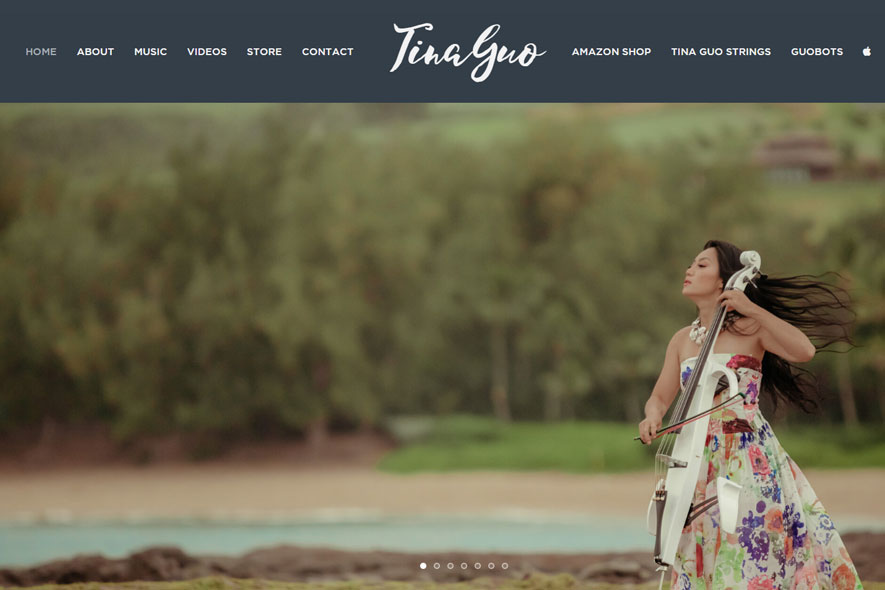 Tina Guo Website
