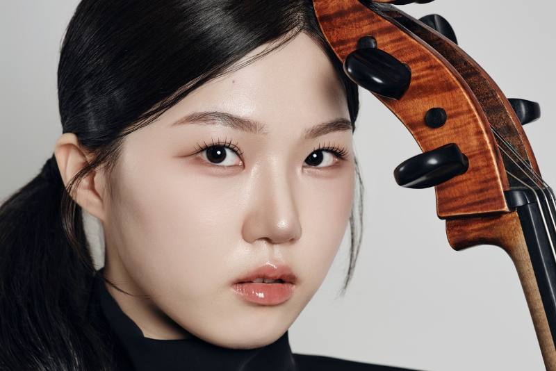 Violin Artist