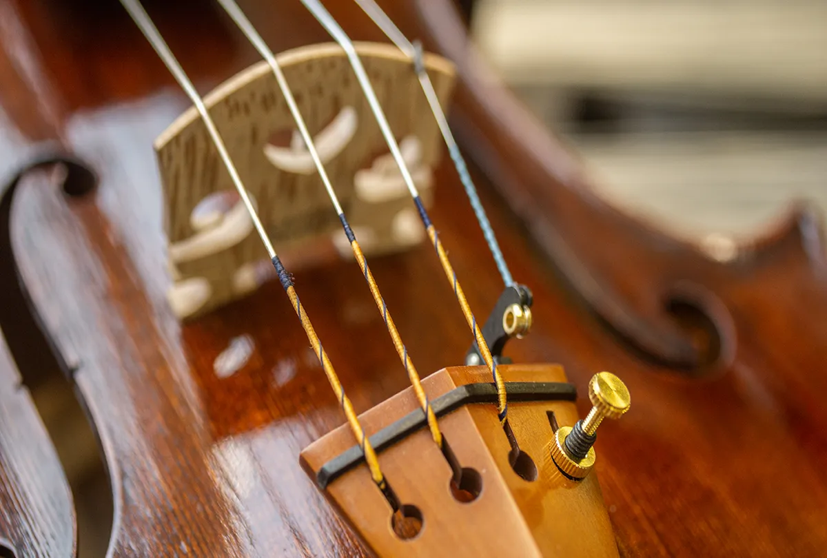 Larsen Strings